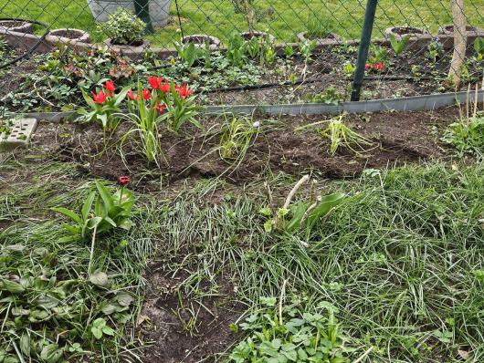 WhatsApp Bild 2025-04-13 um 16.27.27_83718ba4