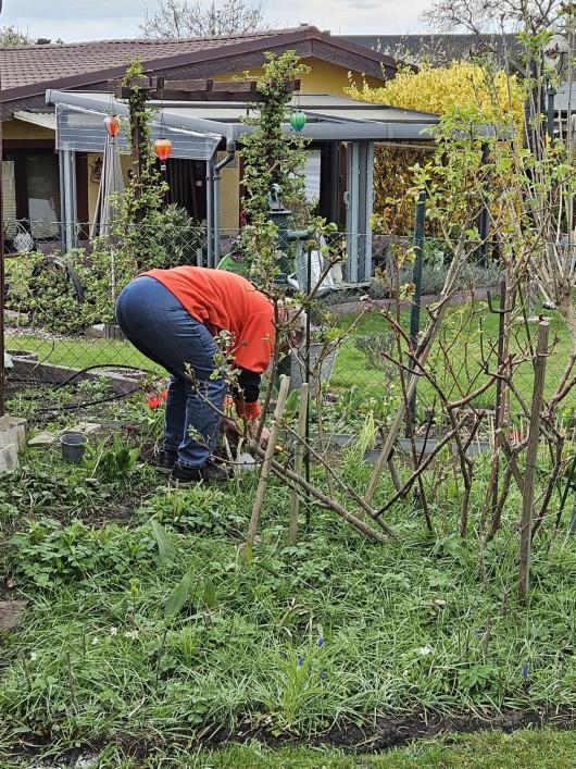 WhatsApp Bild 2025-04-13 um 16.27.27_e9d7f83a