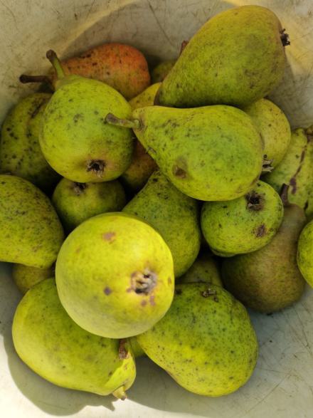 threema-20250907-170351925